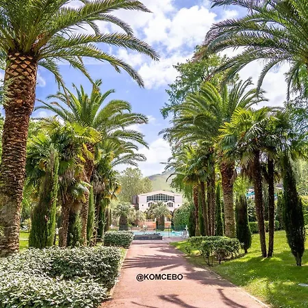 T1 Bis Avec Terrasse, Parking, Wifi Et Animaux Admis A - Fr-1-495-12 Lägenhet